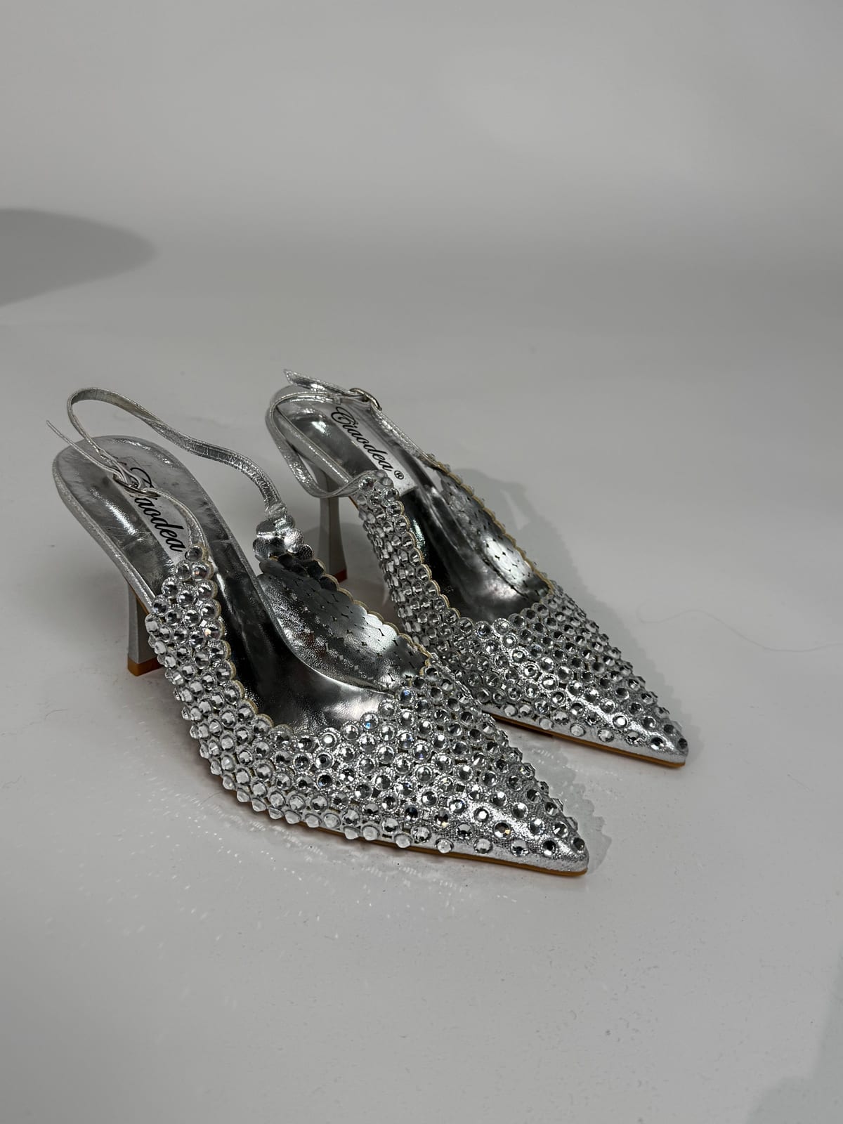 Talons Shine 2